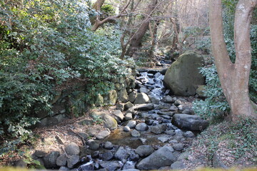 山の中の小さな川