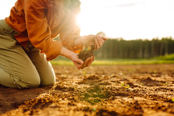 Woman Hands touching soil on the field and checking soil health before growth a seed of vegetable or plant seedling. Agriculture, gardening, business or ecology concept. - obrazy, fototapety, plakaty