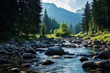 Foto op Plexiglas Charming, clean and transparent. River flow in the mountains. Stream of a mountain river in the forest © Ирина Курмаева