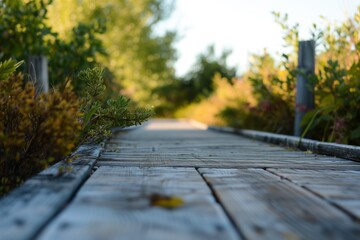 Naklejka na ściany i meble wooden boardwalk receding, blurred shrubs and trees surrounding