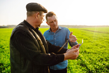 Farmers holding a tablet and checking the progress of the harvest at the green wheat field. Workers...