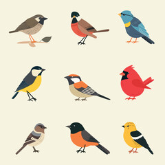 Vector bird set in flat vector style.