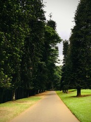 The Royal Botanical Garden, Peradeniya, Sri Lanka