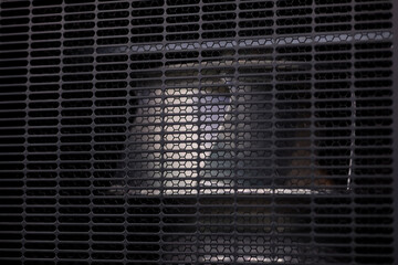 close up of turbine fan and perforated vent grill
