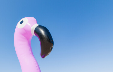 Close-Up of Pink Flamingo Inflatable Head Against Clear Blue Sky © Antonio Solano