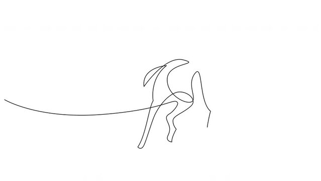 Self drawing animation of continuous line running horse. Animated one line illustration, 4K.