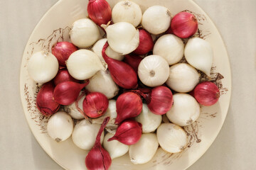 Onion in a clay plate on white background. Salad purple and white onion in rustic bowl.