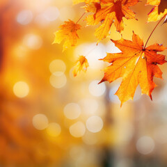 Naklejka na ściany i meble Seasonal Splendor: Colorful Autumn Leaves with Copy Space 