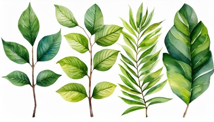 Fototapeta na wymiar set of green tree branches watercolor illustration