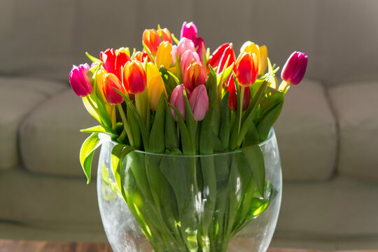 Still life tulips in a vase in front of a sofa with beautiful lighting