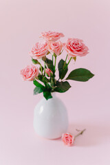 Beautiful pink Rose flowers in a vase on a pink pastel background.