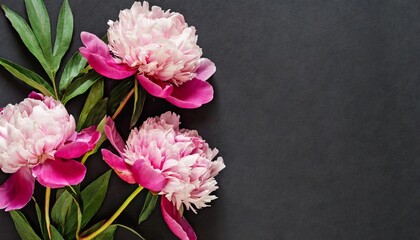 panoramic floral banner bouquet of pink peonies on a black background with place for text minimalistic composition in a dark key top view moody floral copy space