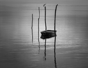 Peaceful moment on the water