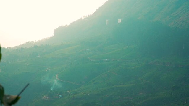Beautiful green landscape Aerial View Of Munnar Tea Plantations, Kerala, South India.