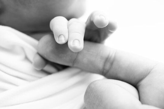 Close-up of baby's small hand, head, ear and palm of mother. Macro. Black and white Photo of Newborn baby after birth tightly holding parents finger. Family and home concept. Healthcare, paediatrics