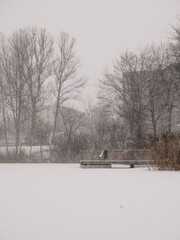Snow in Vilnius. Beautiful park near a residential area in winter. Empty park bench in winter