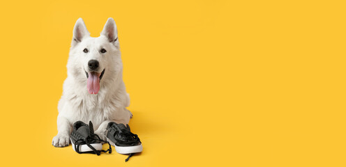 Funny naughty dog playing with shoes on yellow background with space for text - obrazy, fototapety, plakaty