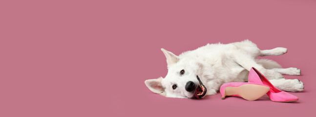 Funny naughty dog playing with shoes on pink background with space for text