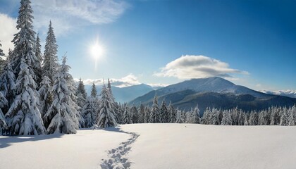 winter landscape of mountains with path with footprints in snow following in fir forest and glade