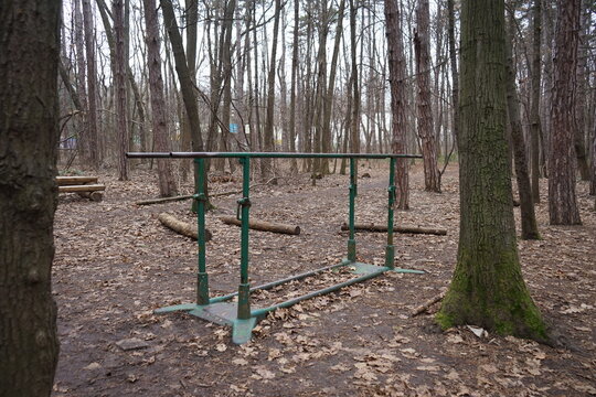 Photo of parallel bars in the woods
