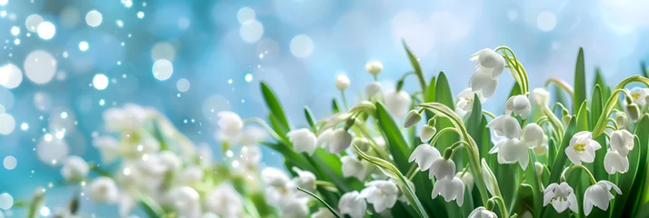 Wandcirkels aluminium Spring time flowers banner with white lily of the valley flowers with blue bokeh lights. Fresh spring lilies of the valley on sparkling backdrop. Banner with white lily of the valley blooms and bokeh © Alina