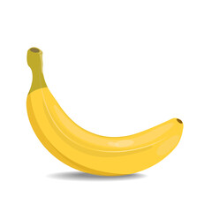 Vector illustration  fresh banana with shadow. Image of banana on white background.