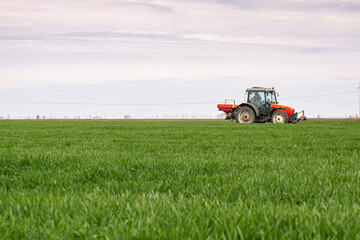 Tractor spreading artificial fertilizers in wheat field