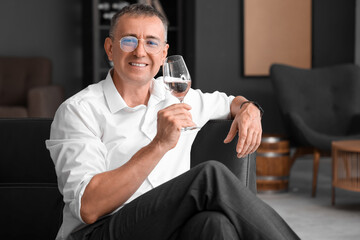 Mature man tasting wine at home