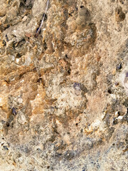 Coastal rocks and sea water as a natural background.