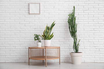 Big cactus with houseplants and table near white brick wall in room