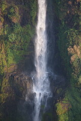 A beautiful waterfall in the midst of perfect nature in the forest.