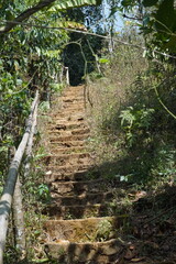 A beautiful waterfall in the midst of perfect nature in the forest.