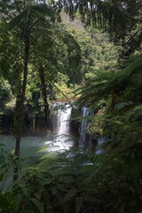 A beautiful waterfall in the midst of perfect nature in the forest.