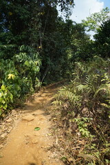 Beautiful nature trails amidst cool weather and animal sounds.