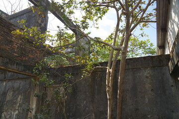 Fototapeta premium Ruins of an old house with a through passage. Destruction.