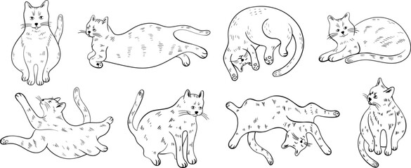 Set of cute cartoon cats different poses. Hand drawn illustration in doodle style isolate on white collection.