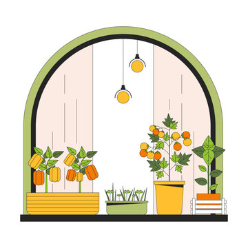 recommend clip art: Windowsill garden 2D linear cartoon object. Indoor gardening. Window sill herbs planting isolated line vector element white background. Veggies plants. Vegetables in pots color flat spot illustration