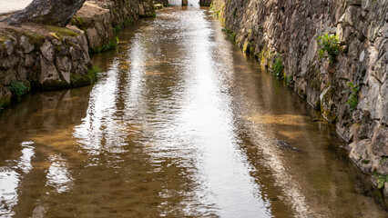 城下町に流れる川