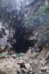 A large cave in the forest surrounded by large rocks and water flowing from the mouth of the cave.