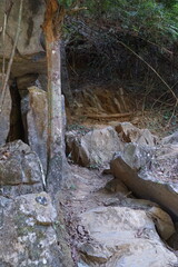 The hiking trail is full of large rocks and trees and wooden steps.