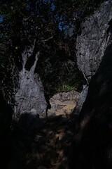 Obraz premium The hiking trail is full of large rocks and trees and wooden steps.