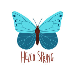 Hello Spring doodle lettering isolated on white background. Handwritten lettering with butterfly for banner, flyer, card, poster of seasonal spring holiday. Color typography with decorative element