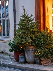 Christmas trees on the street in Vilnius Old Town. Christmas decoration in the Glass Quarter