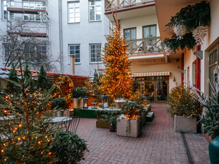 Fototapeta na wymiar Christmas tree in the courtyard