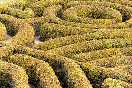 Labyrinth in a botanical garden