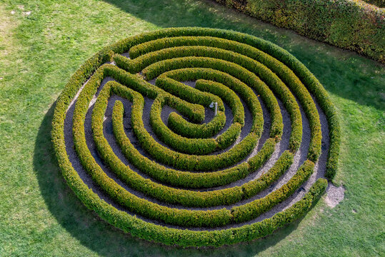 Labyrinth in a botanical garden