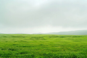 Obraz premium green field and sky