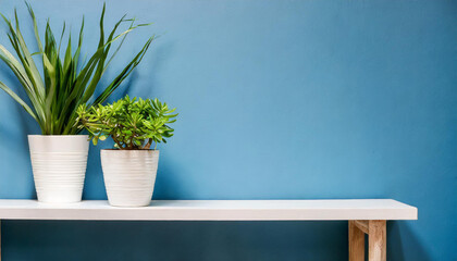 white shelf on blue wall with green potted plants mock up