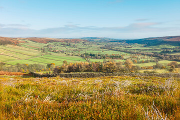View along the valley with heather, trees, fields under blue sky. Glaisdale, UK.