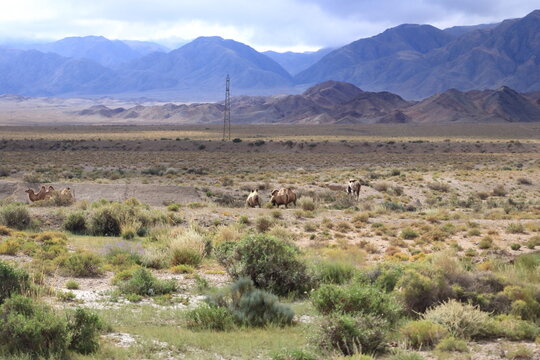 landscape view in the region of Issyk-Kul Lake near the Orto Tokoy reservoir, Kyrgyzstan